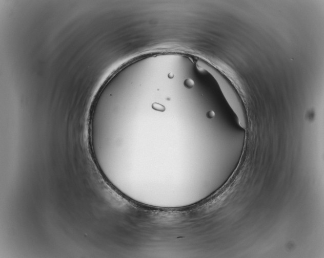 X0000099521288200805291203