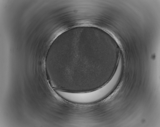 X0000099521289200805291203