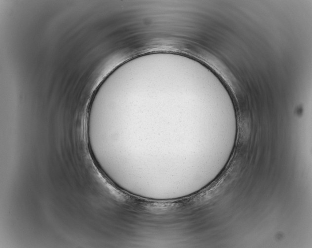 X0000099521290200805291203