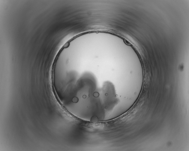 X0000099521291200805291203