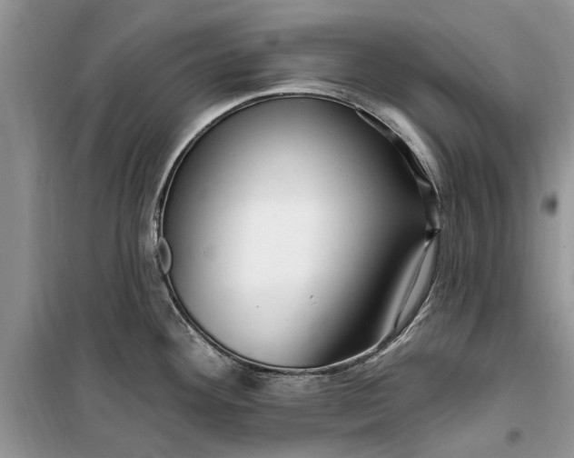 X0000099521292200805291203