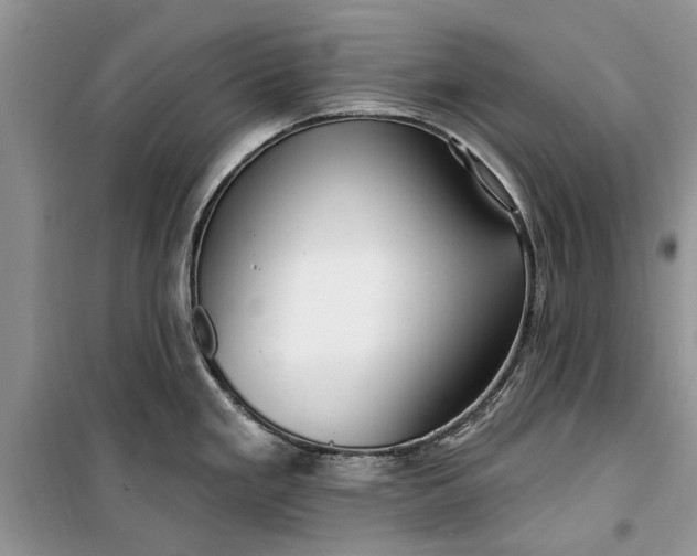 X0000099521293200805291203