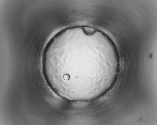 X0000099521294200805291203