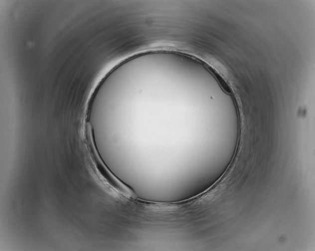 X0000099521296200805291203