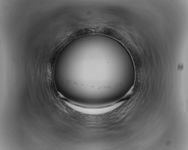 X0000099521298200805291202