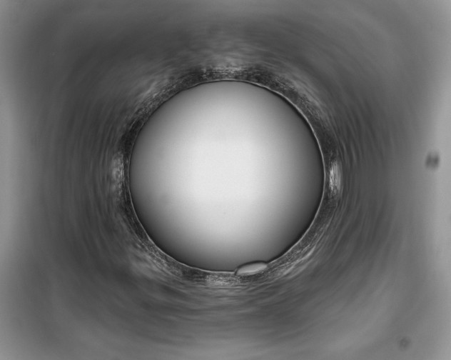 X0000099521299200805291202