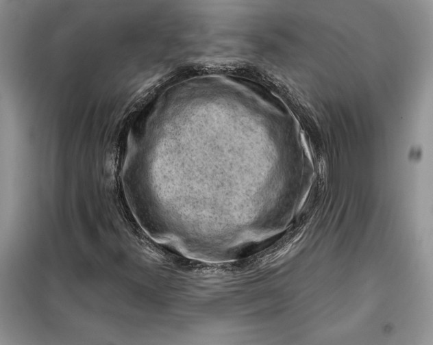 X0000099521300200805291202