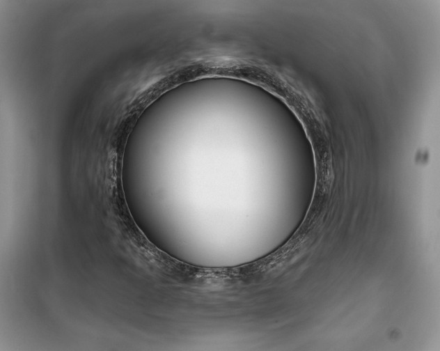 X0000099521301200805291202