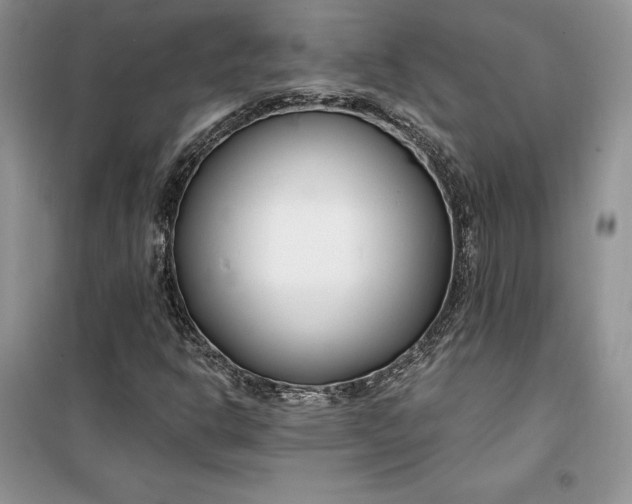 X0000099521302200805291202