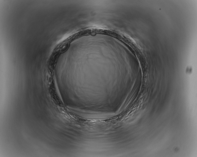 X0000099521303200805291202