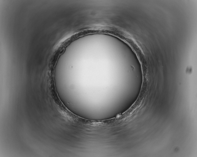 X0000099521304200805291202