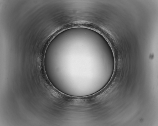 X0000099521305200805291202