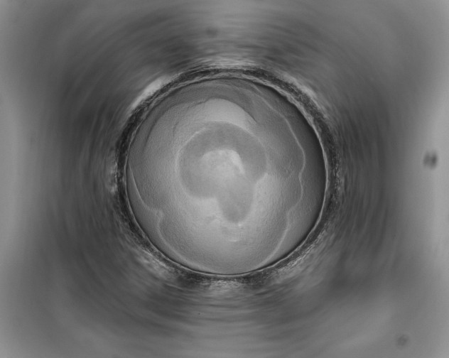 X0000099521306200805291202