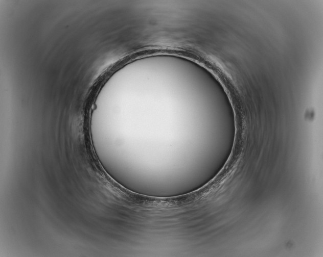 X0000099521307200805291202