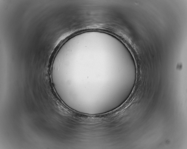 X0000099521308200805291202