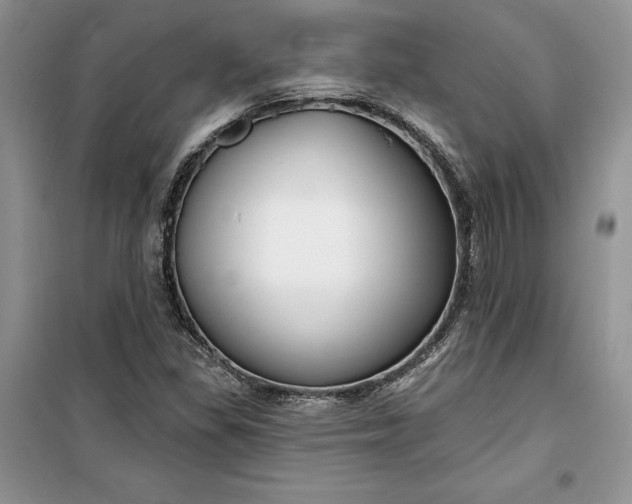 X0000099521309200805291202