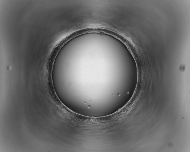 X0000099521311200805291202