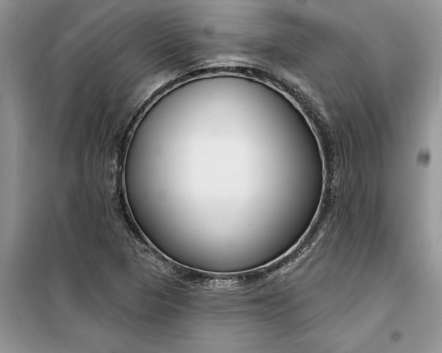 X0000099521313200805291202