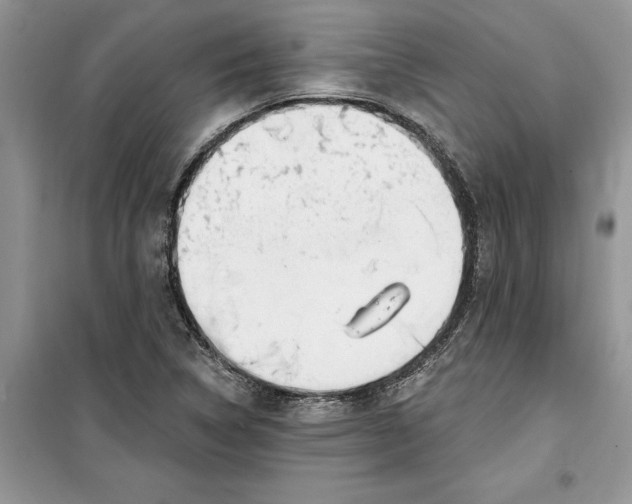 X0000099521314200805291203