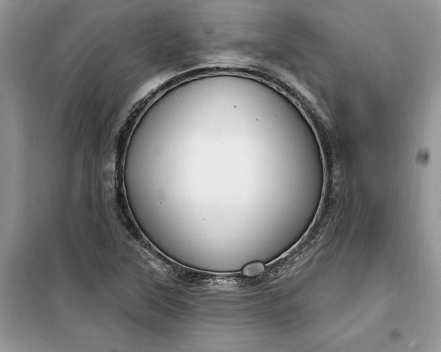 X0000099521315200805291203