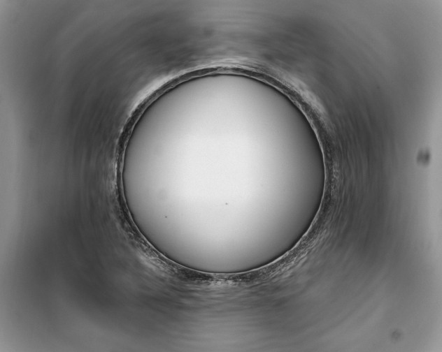 X0000099521316200805291203