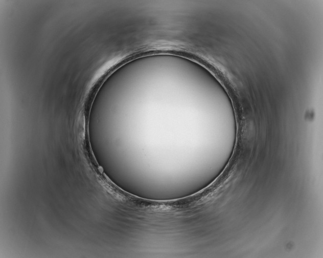 X0000099521317200805291203