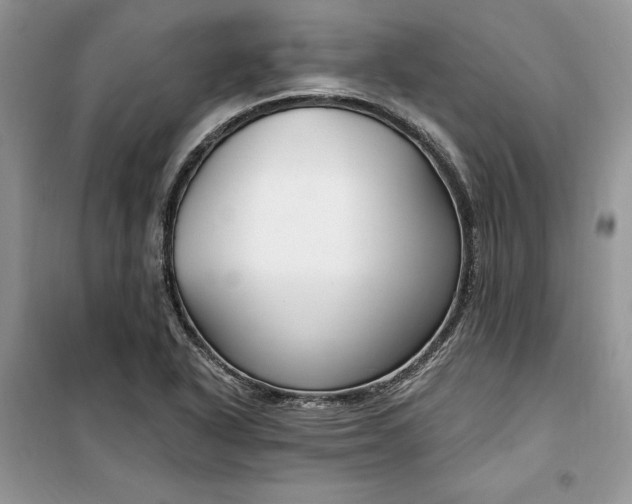 X0000099521318200805291203