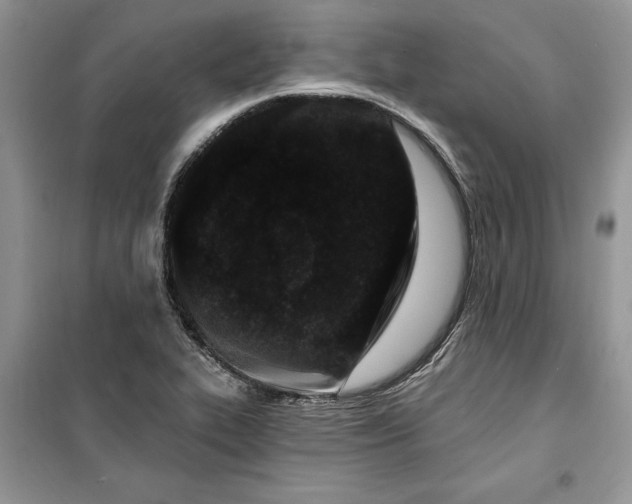 X0000099521319200805291203