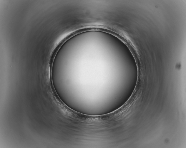 X0000099521320200805291203