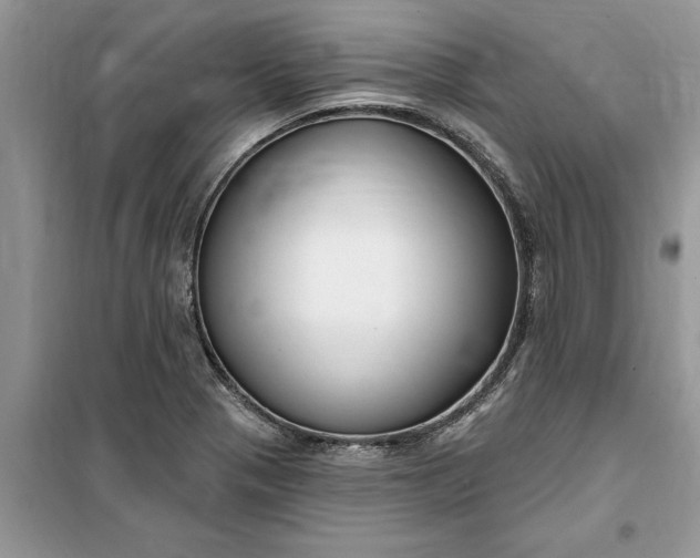 X0000099521321200805291203