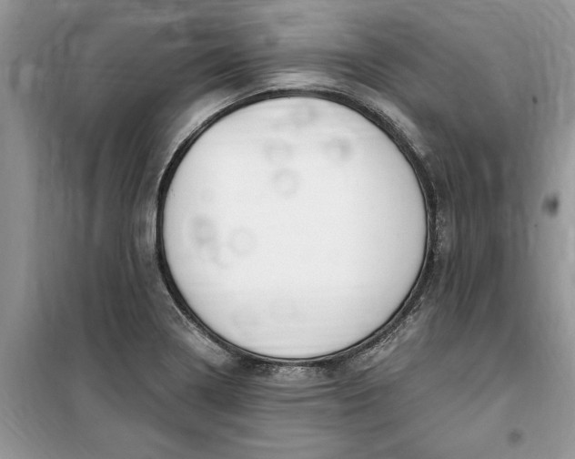 X0000099521322200805291203