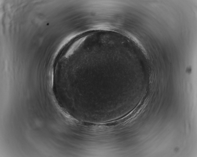 X0000099521323200805291203