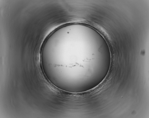 X0000099521324200805291203