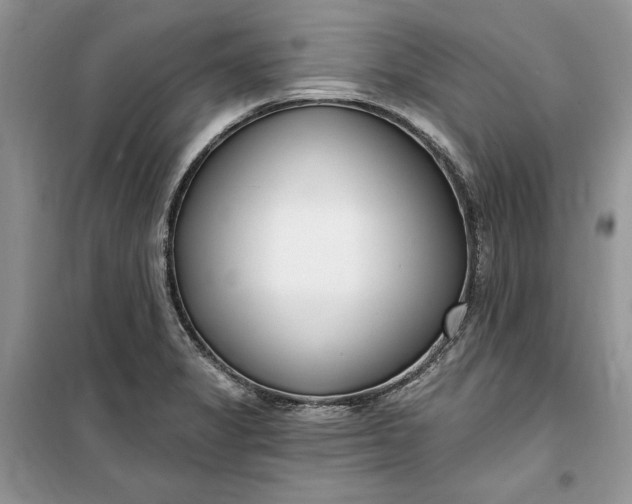 X0000099521325200805291203