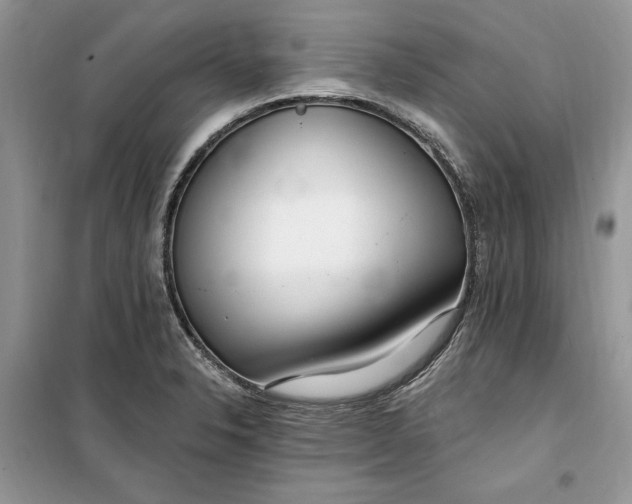 X0000099521326200805291203