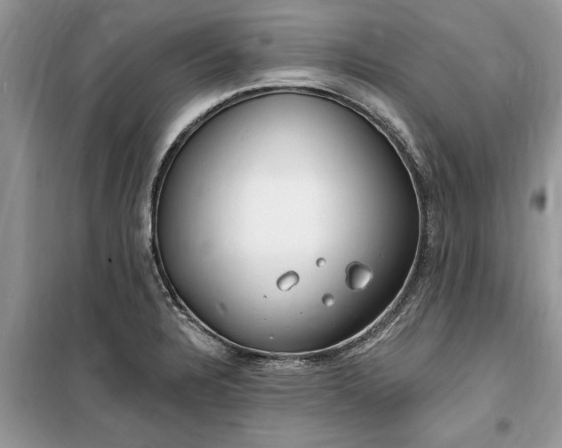 X0000099521328200805291203