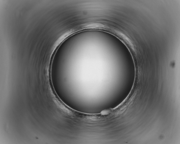 X0000099521330200805291203