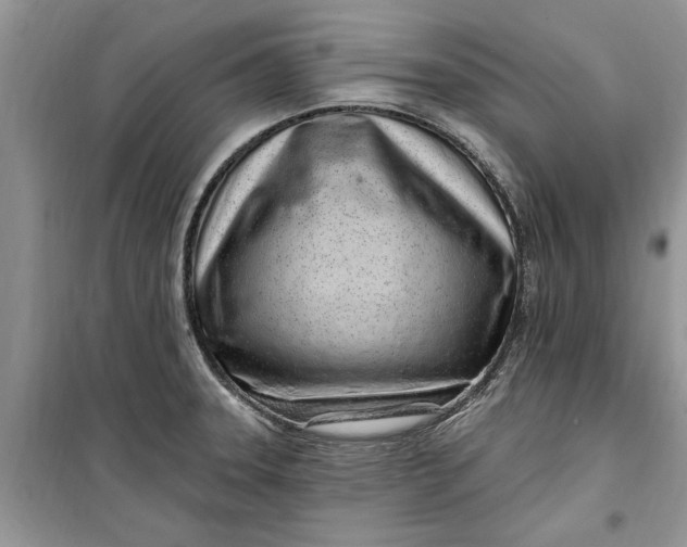 X0000099521331200805291203