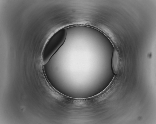 X0000099521332200805291203