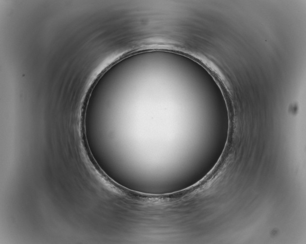 X0000099521333200805291203