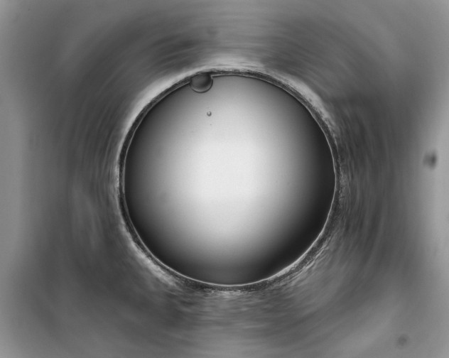 X0000099521335200805291203