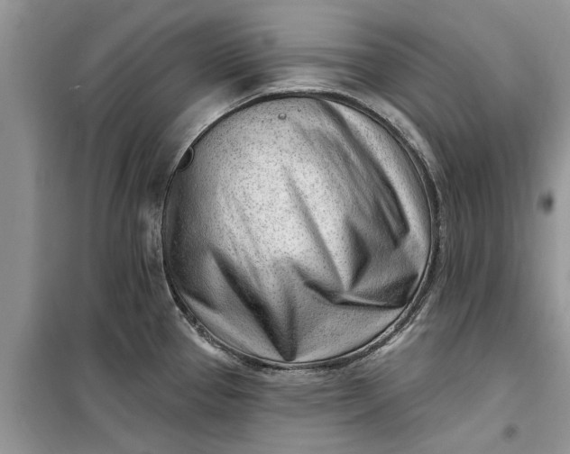 X0000099521337200805291203