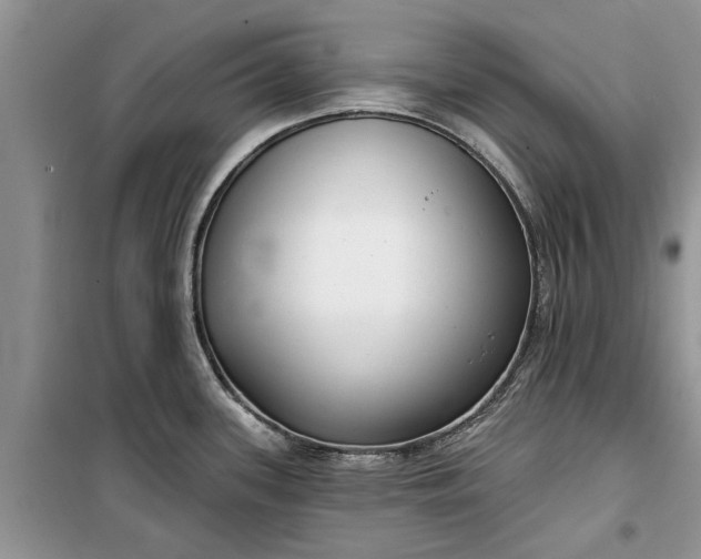 X0000099521339200805291203