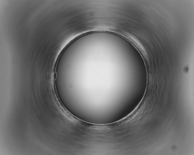 X0000099521340200805291203