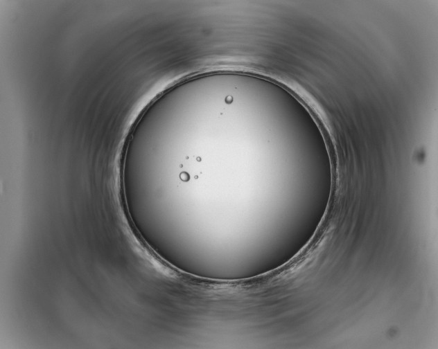 X0000099521341200805291203