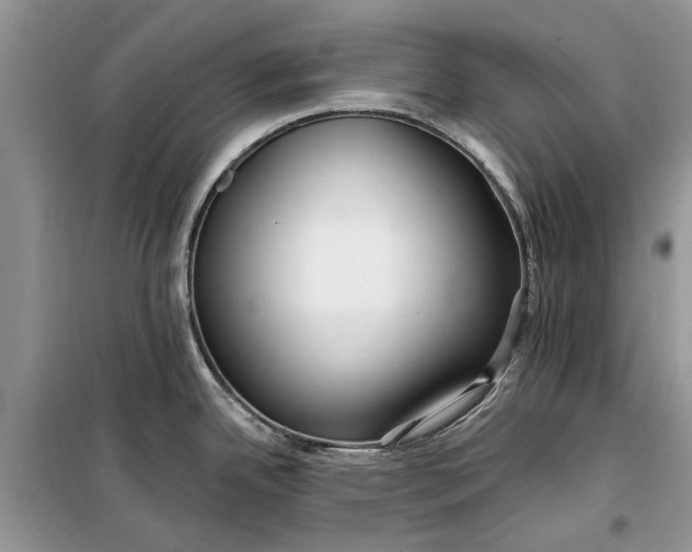 X0000099521342200805291203