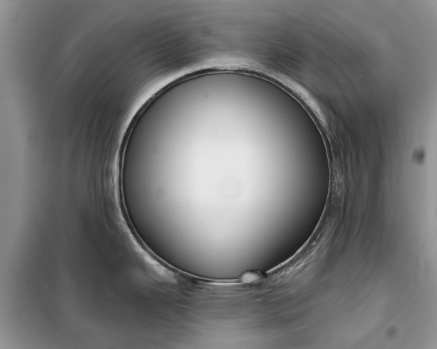 X0000099521343200805291203