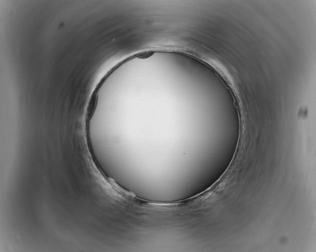 X0000099521344200805291203