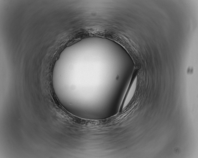 X0000099521345200805291202