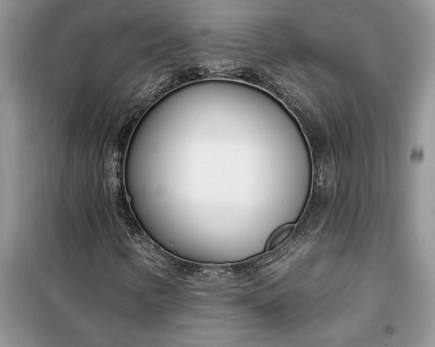 X0000099521346200805291202